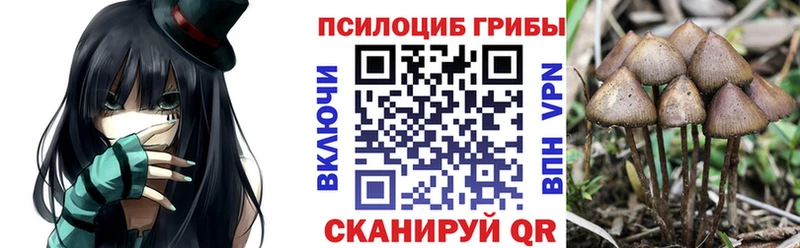 гидра ССЫЛКА  купить  цена  Ковылкино  Псилоцибиновые грибы Psilocybine cubensis 
